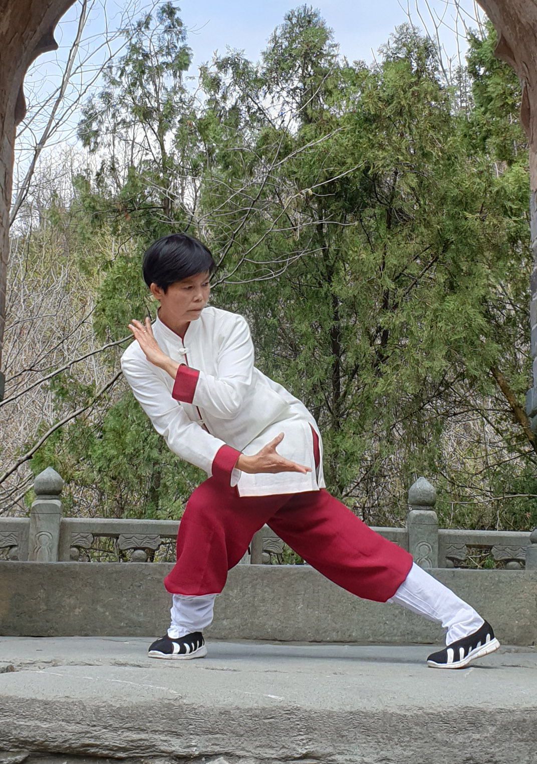 Wudang Tai Chi